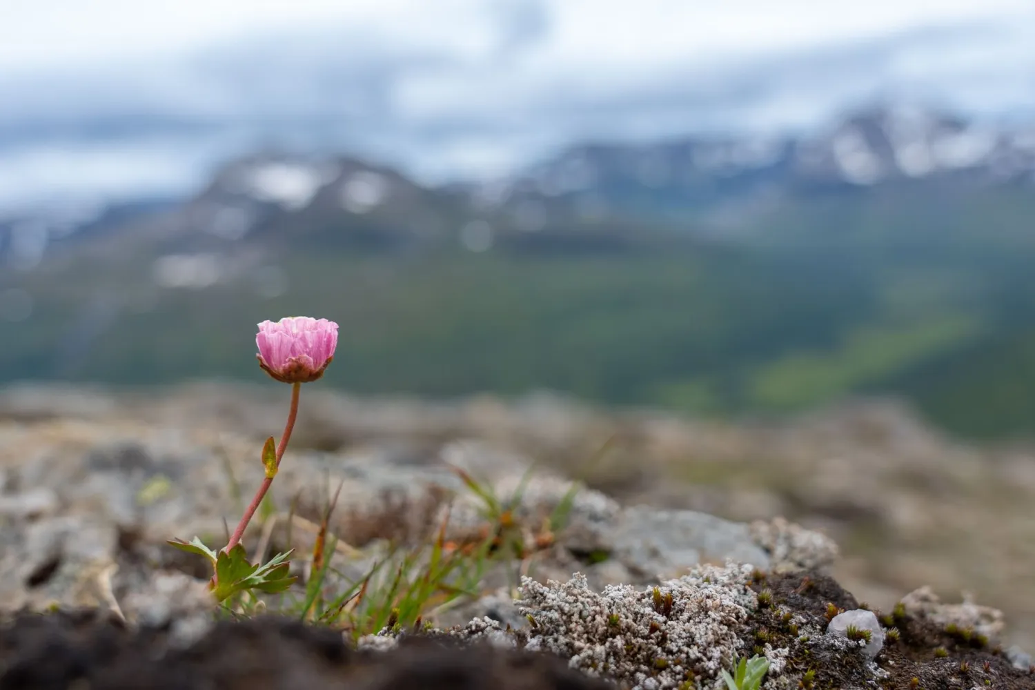 Spanstinden i Lavangen