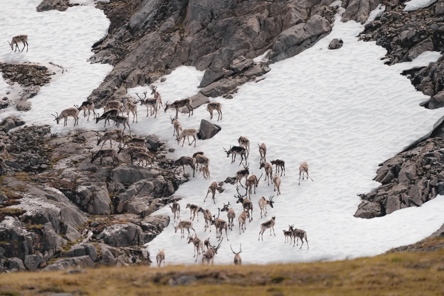 Nordlandsruta – Del 1 gjennom Narvikfjellene