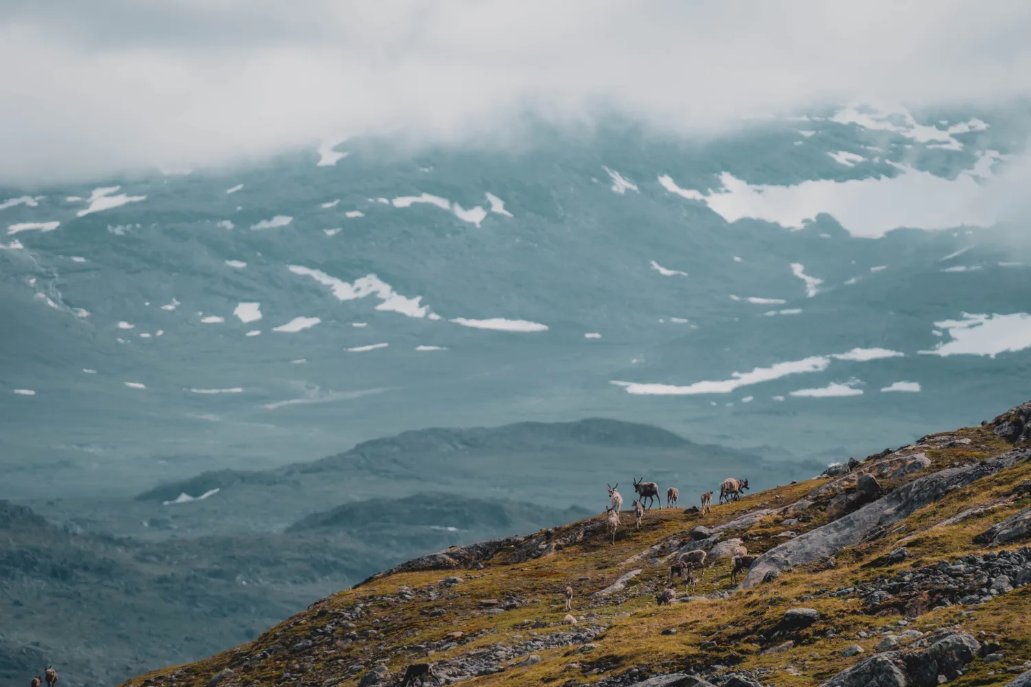 Nordlandsruta – Del 1 gjennom Narvikfjellene