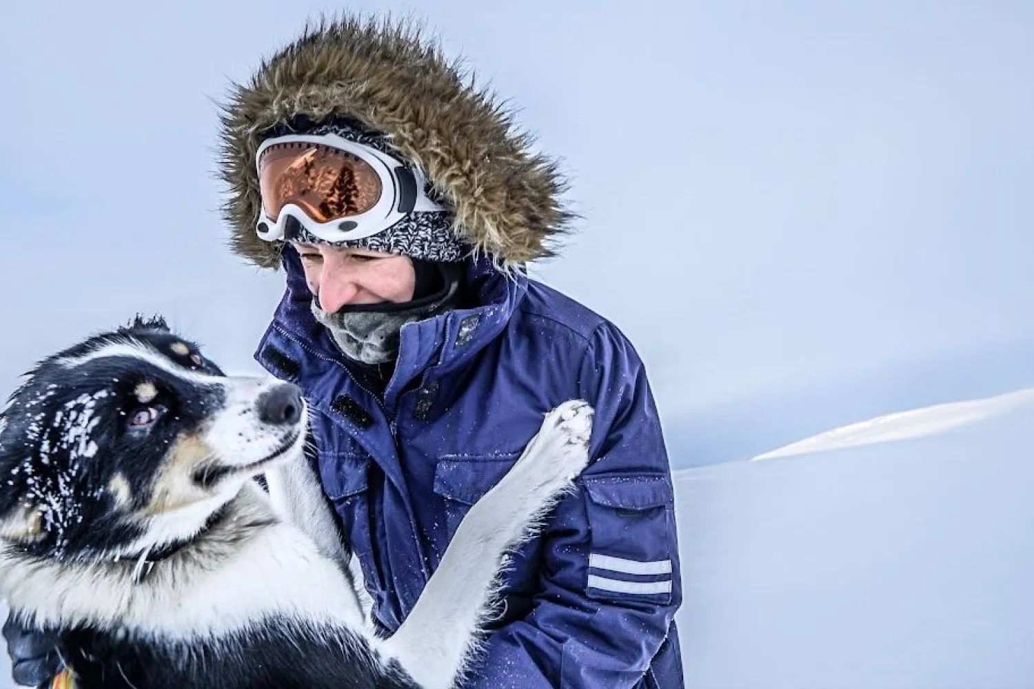 2 ukers hundekjøringsekspedisjon i Dividalen