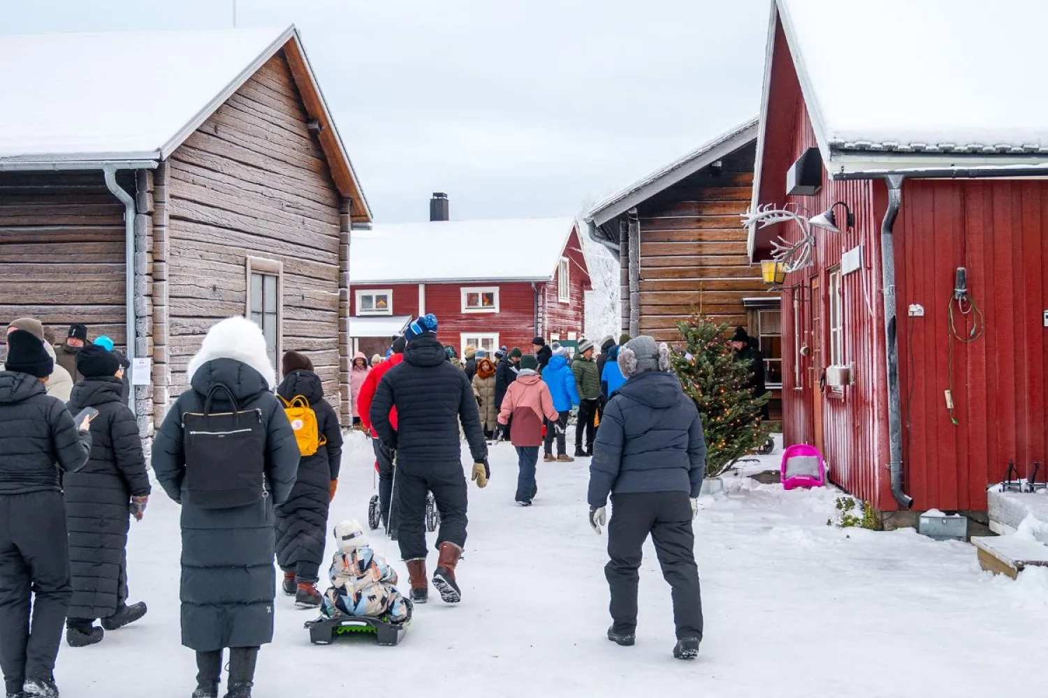 NARVIK: ICEHOTEL Experience & Svensk Lappland 