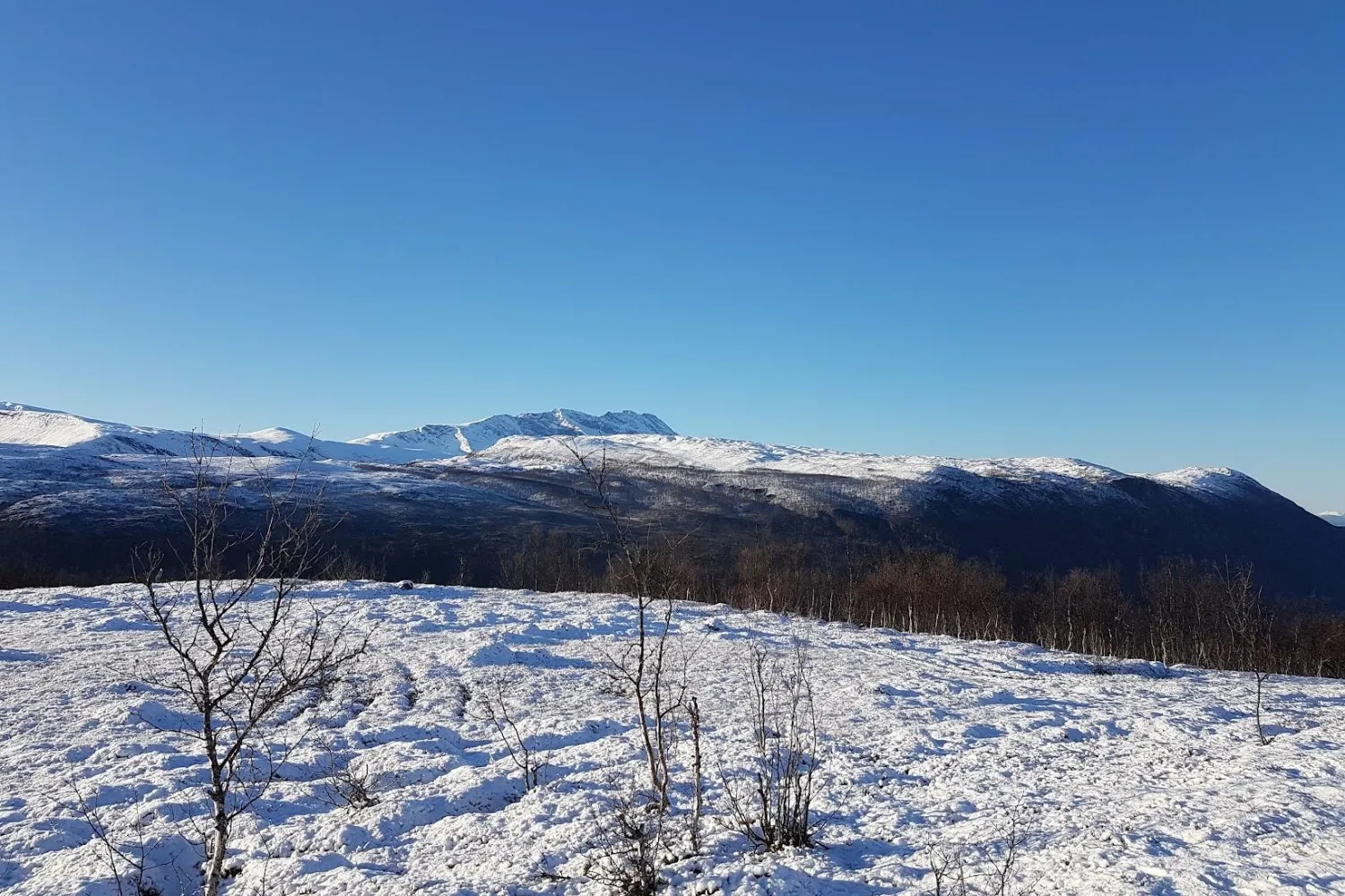 Utsikt fra Brennholtet over Beisfjord