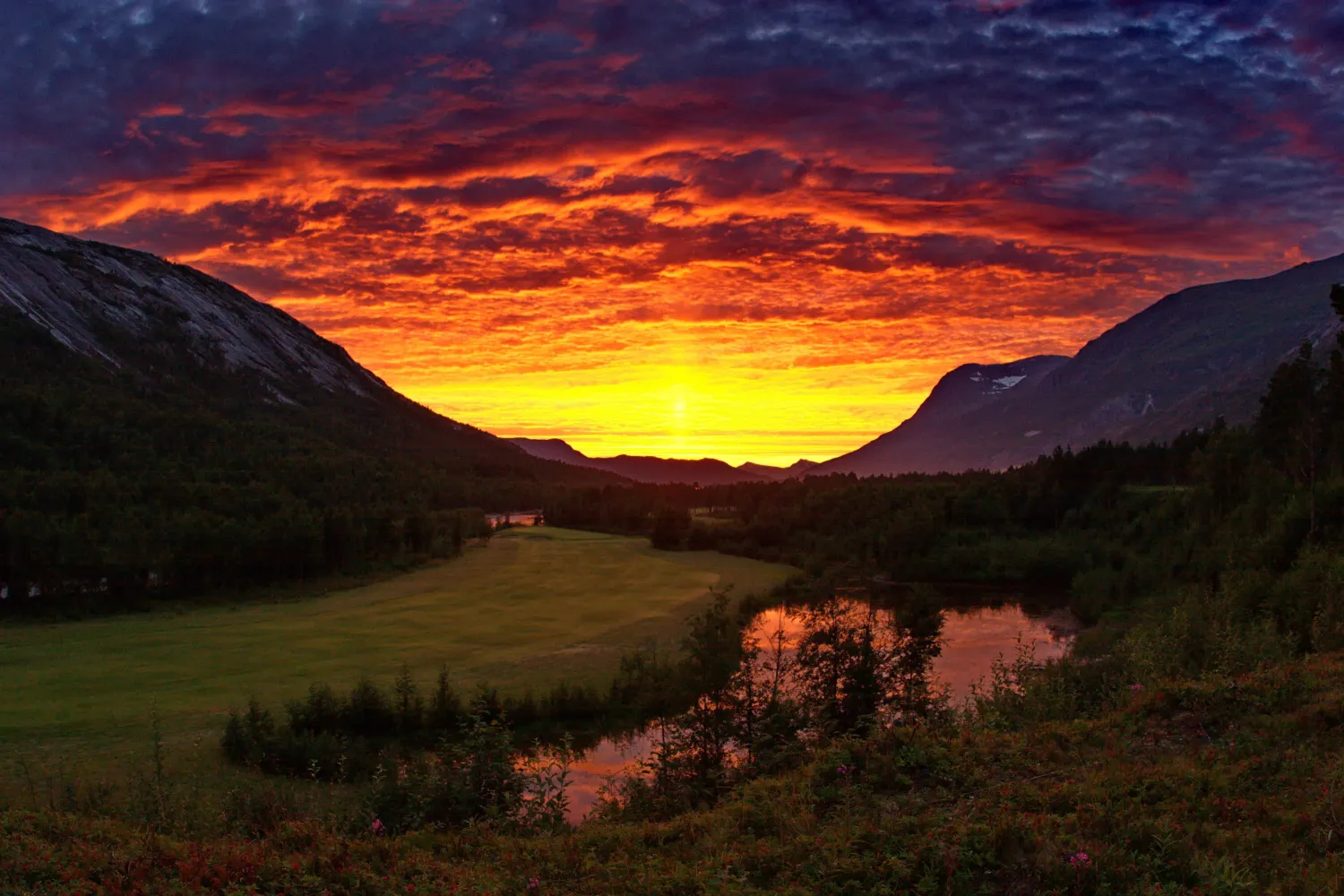 Midnightsun golfing