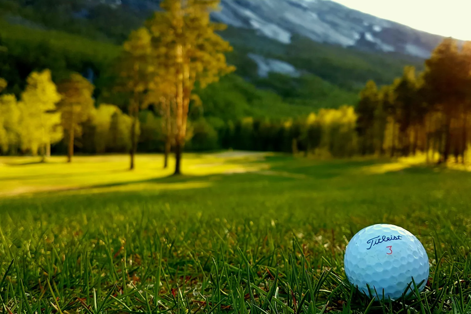 Midnightsun golfing