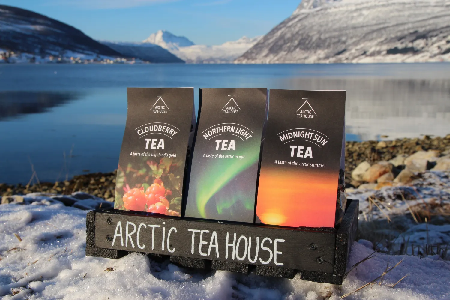 Arctic Taste of Norway