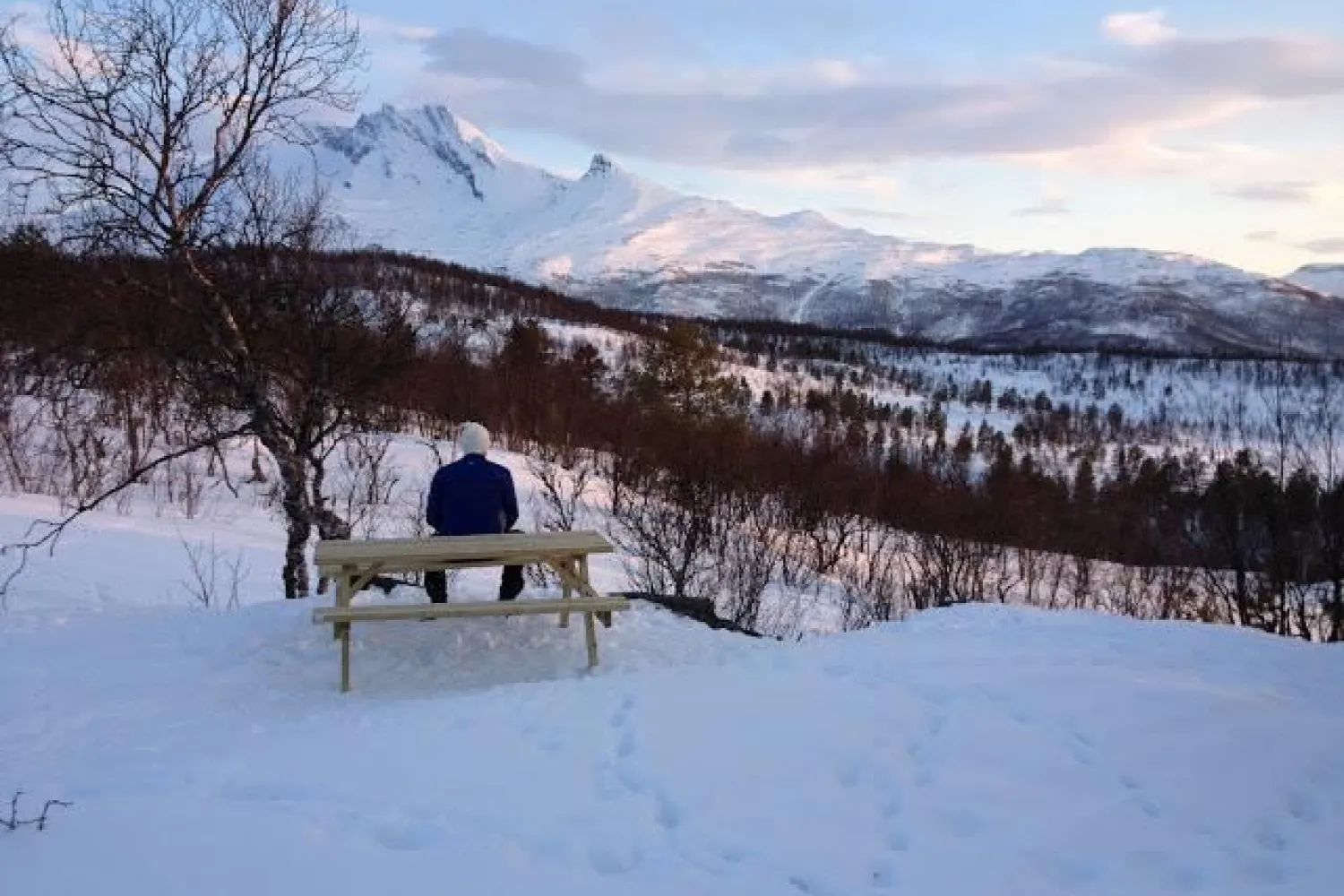Ankenesfjellet langrennsløype