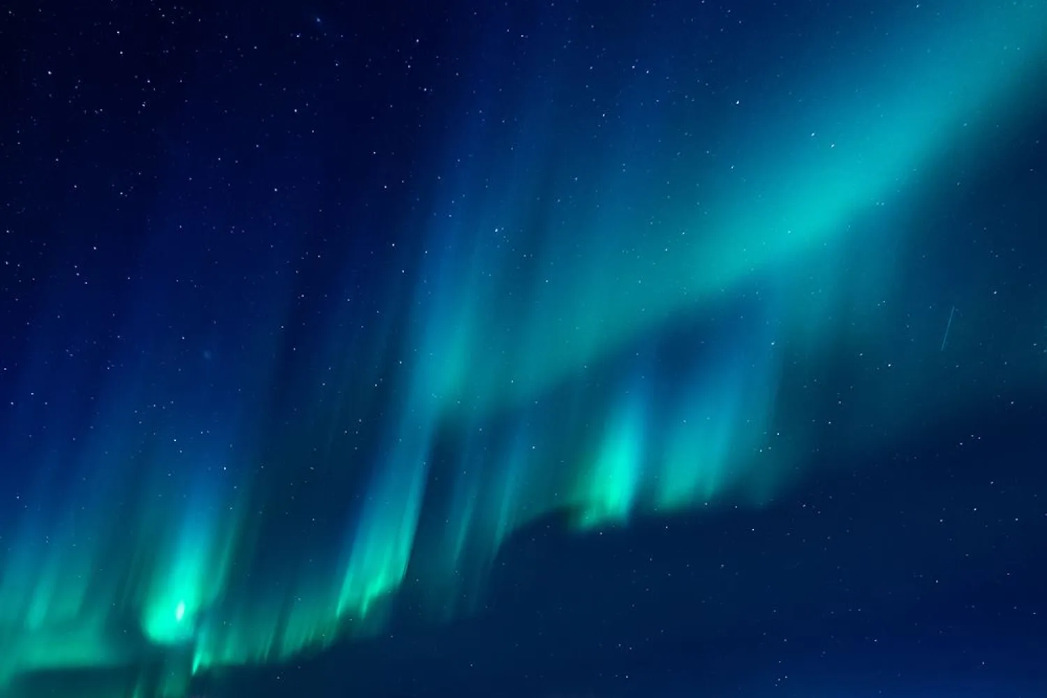 Hundekjøring med nordlysseremoni