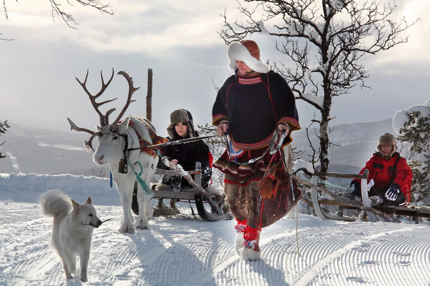 Arctic Route