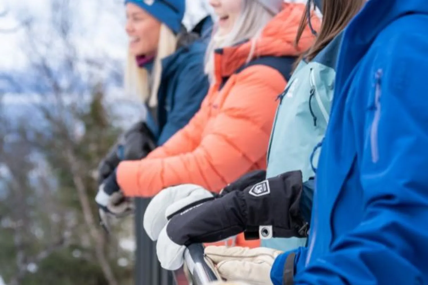 CAMP 291 – av Narvikfjellet 