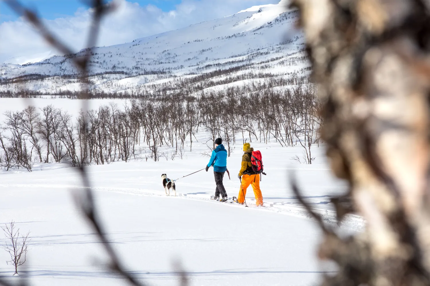 Lapphaugen Turiststasjon