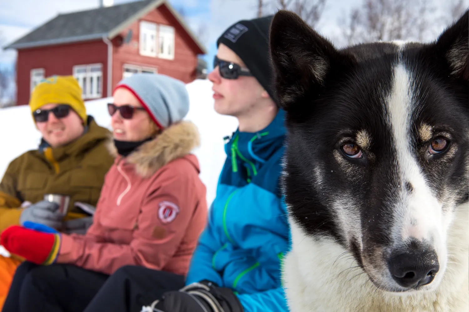 Lapphaugen Turiststasjon