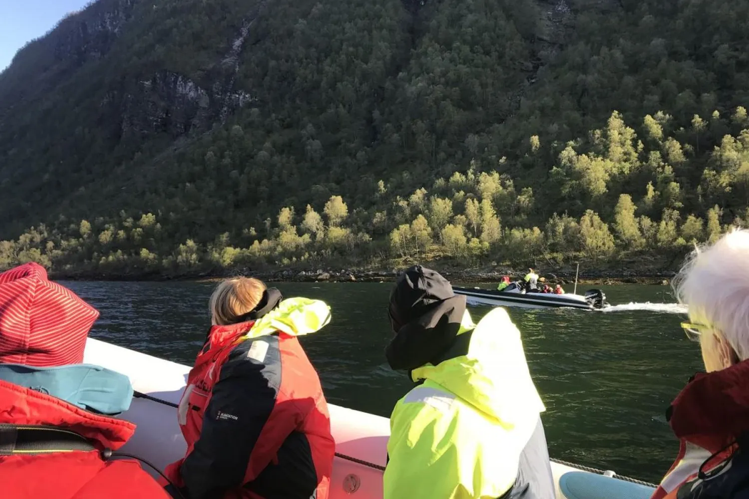 Nyt båt og buss fra Rombaksbotn til Narvik