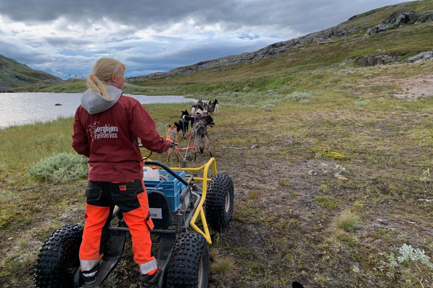Arctic Kids hundekjøring m/ vogn