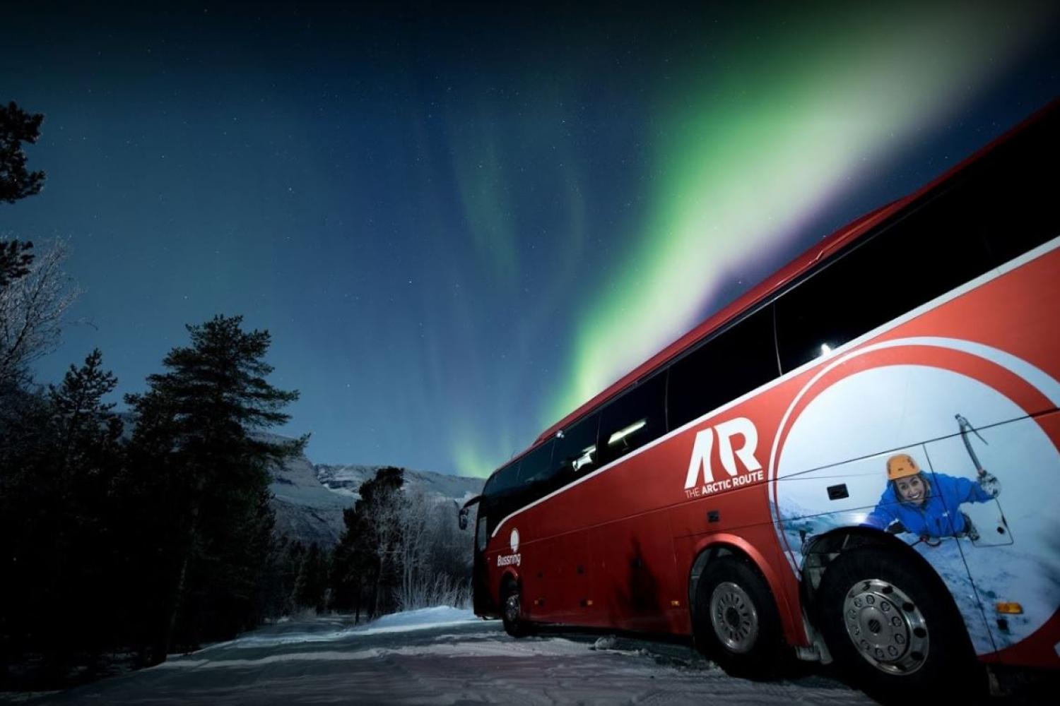 A: Reise med Arctic Route fraTromsø til Narvik og besøk Polar Park