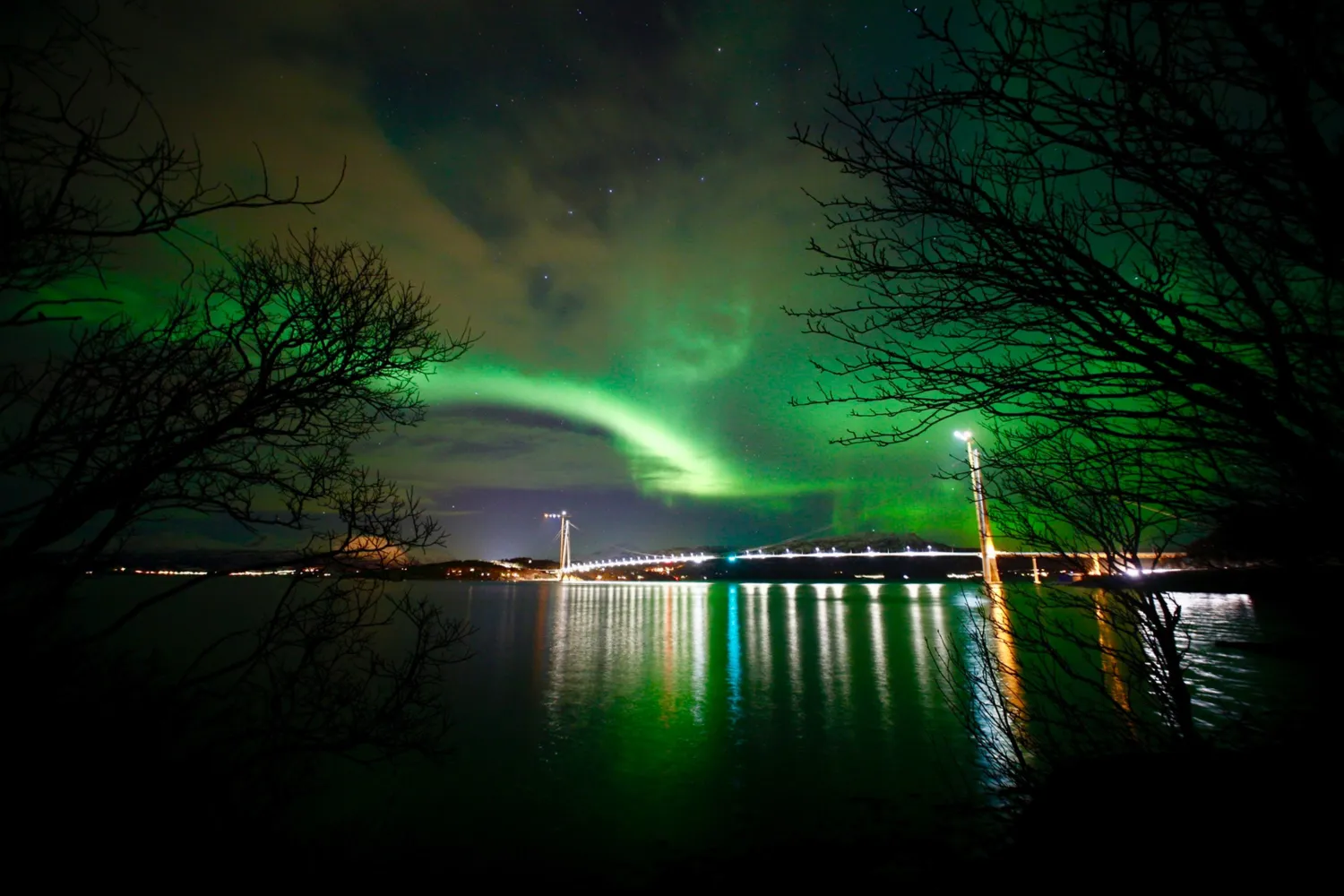 Artic Route Tromsø - Polar Park - Narvik 915