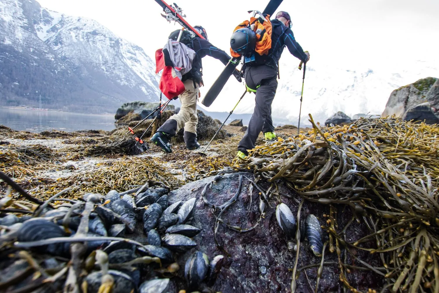 På topptur i Narvikregionen