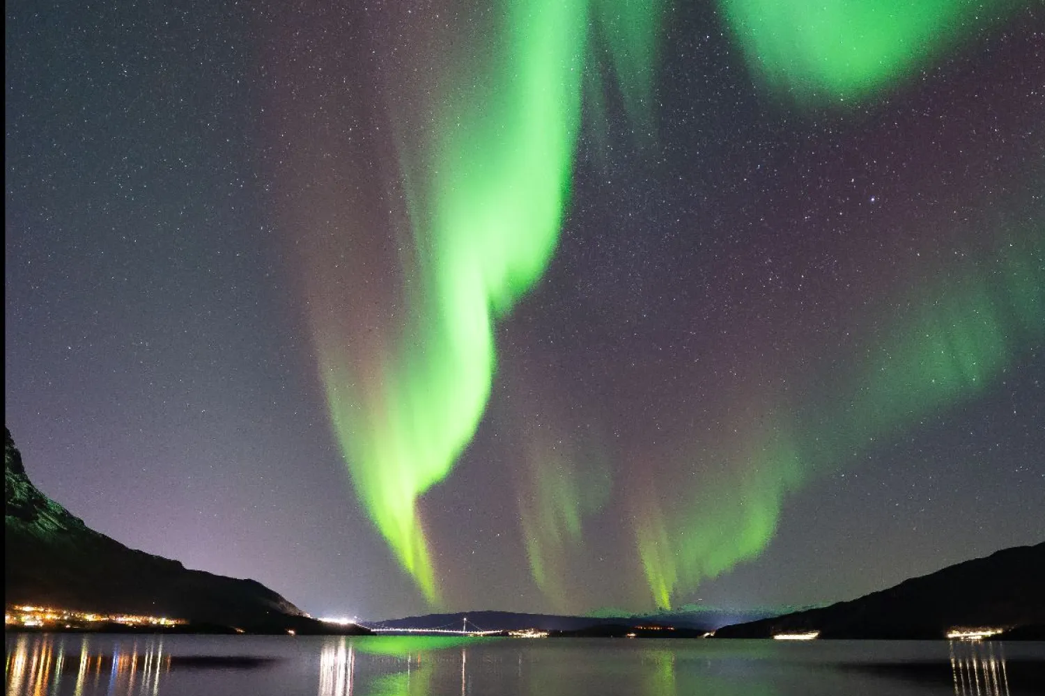 Nordlystur med profesjonell guide