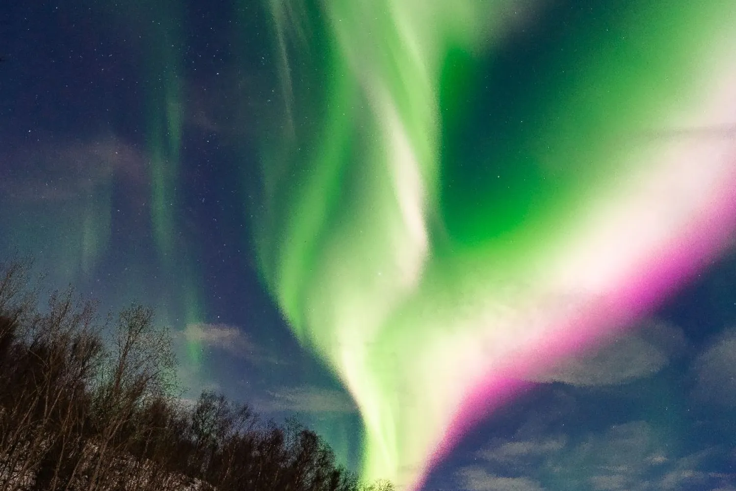 Nordlystur med profesjonell guide