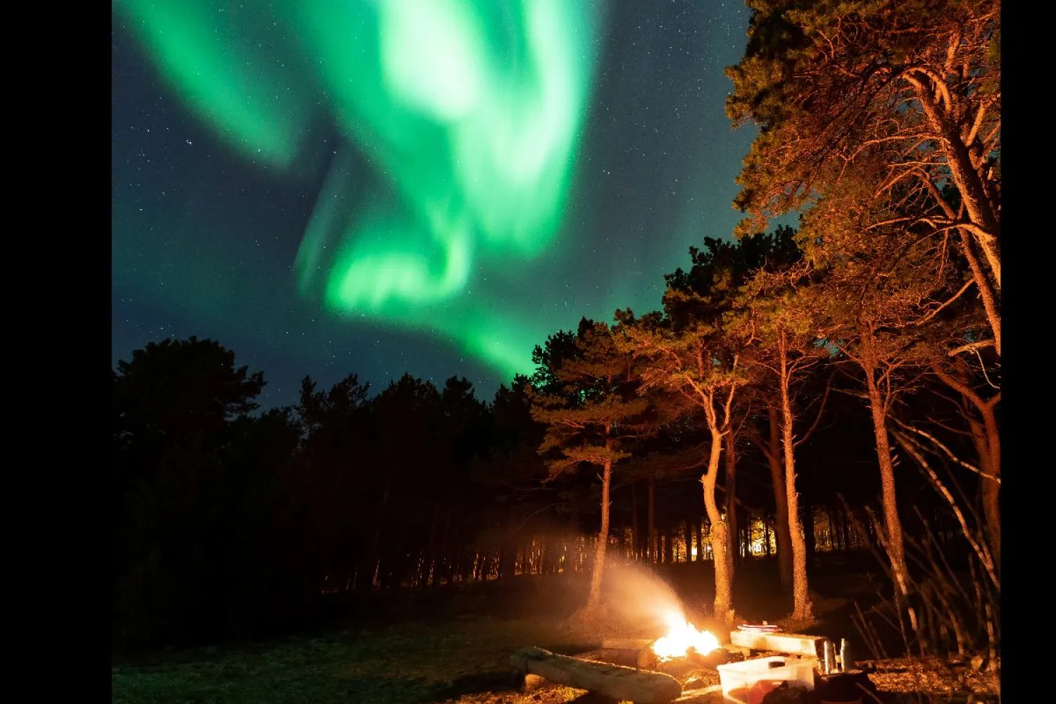 Nordlystur med profesjonell guide