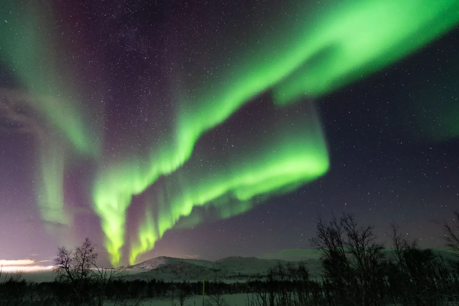 Nordlystur med profesjonell guide