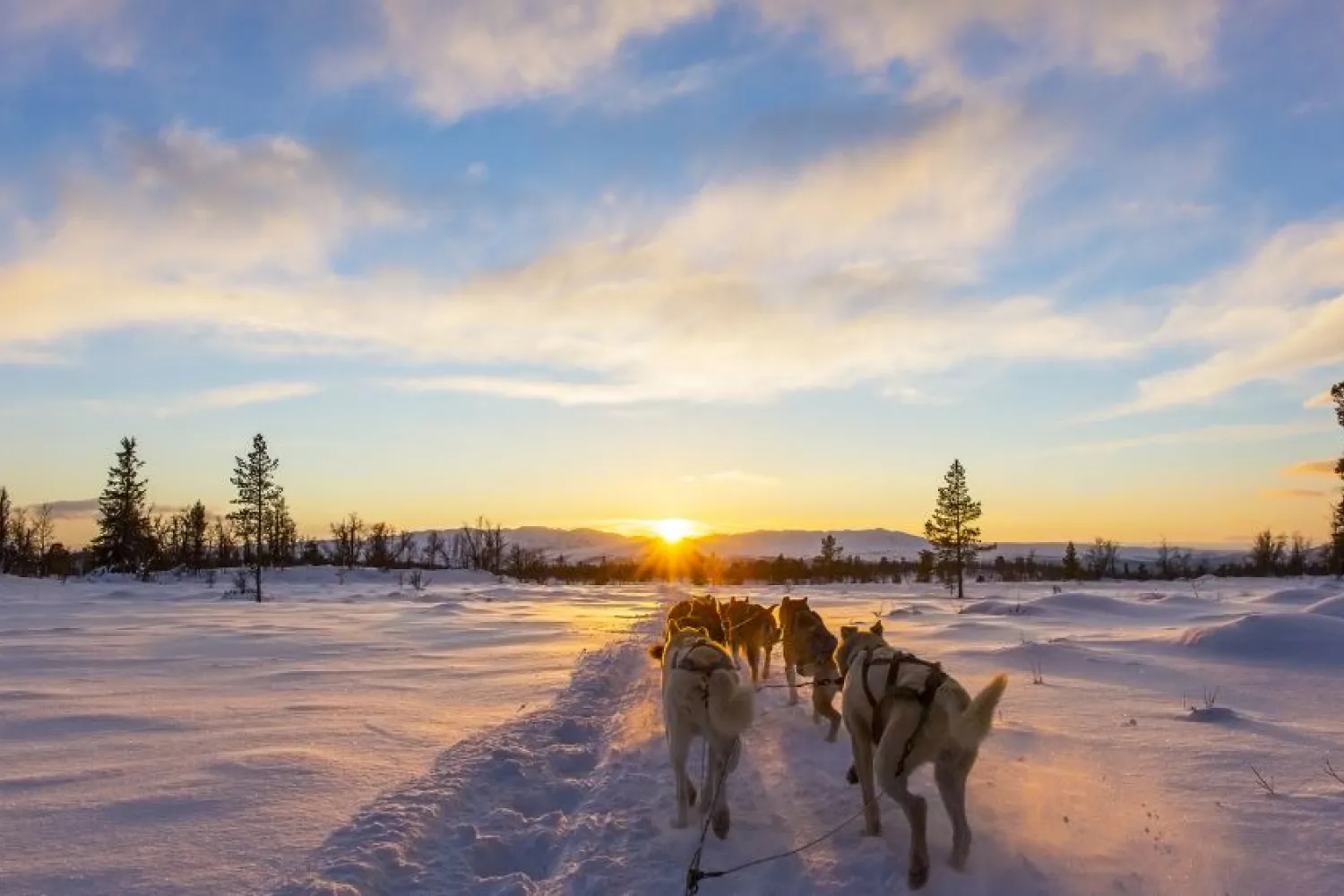 Bardufoss Hotell 