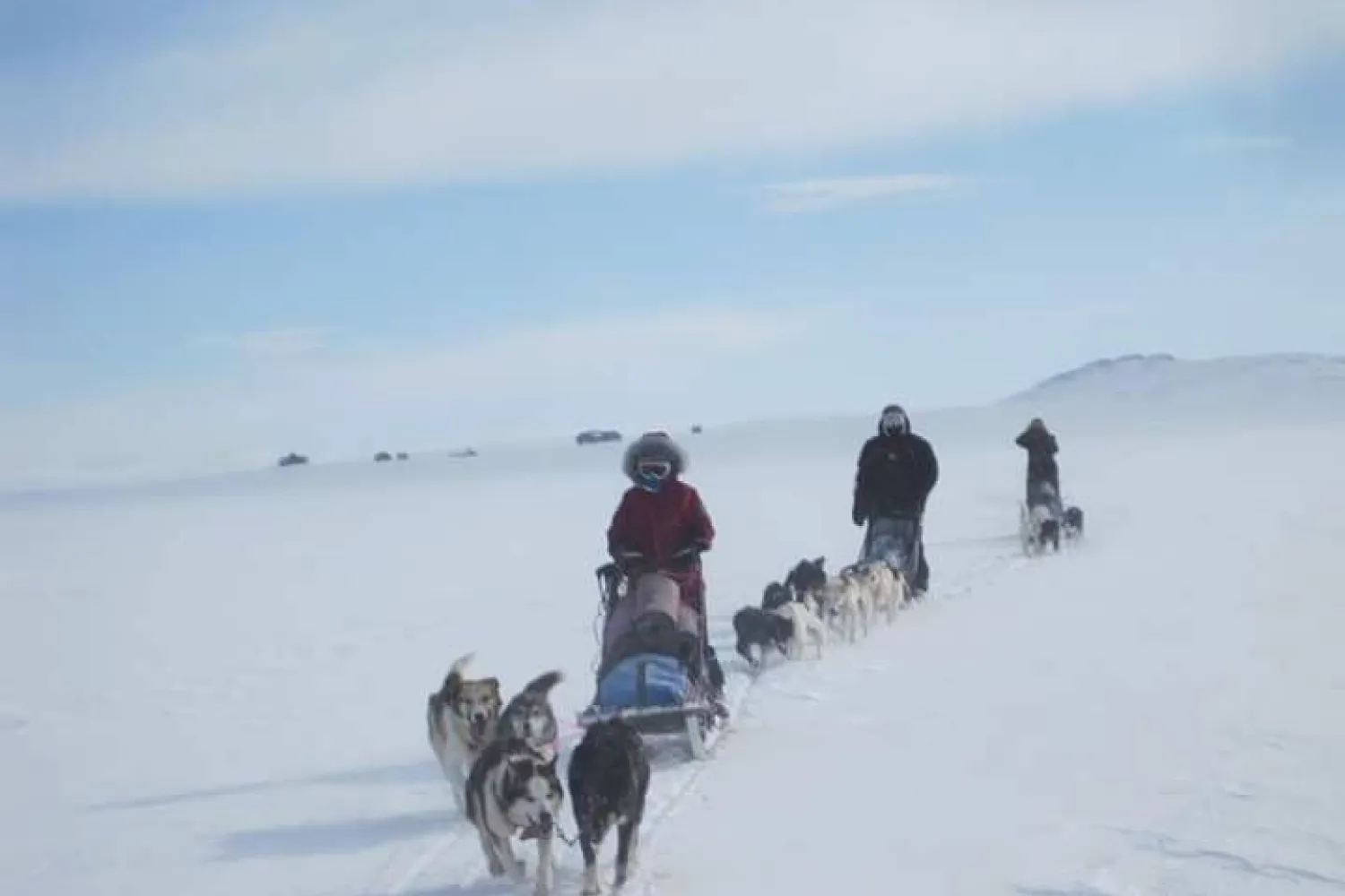 Nordic Exclusive: Hundesledekjøring med Aurora Husky