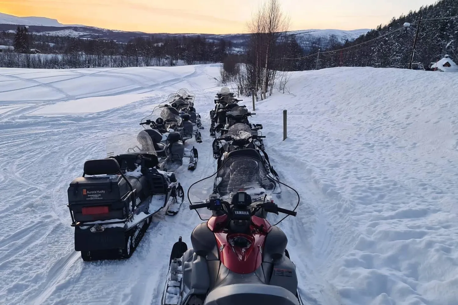 Nordic Exclusive: Arktisk morro med snøscooter med Aurora Husky