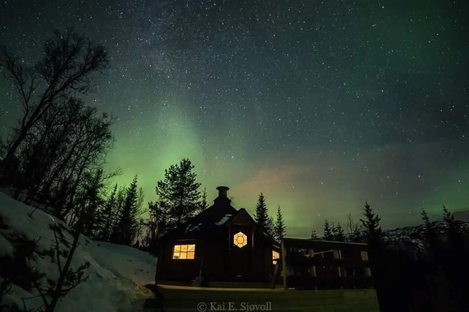 Arktisk skogseventyr på Elvegård