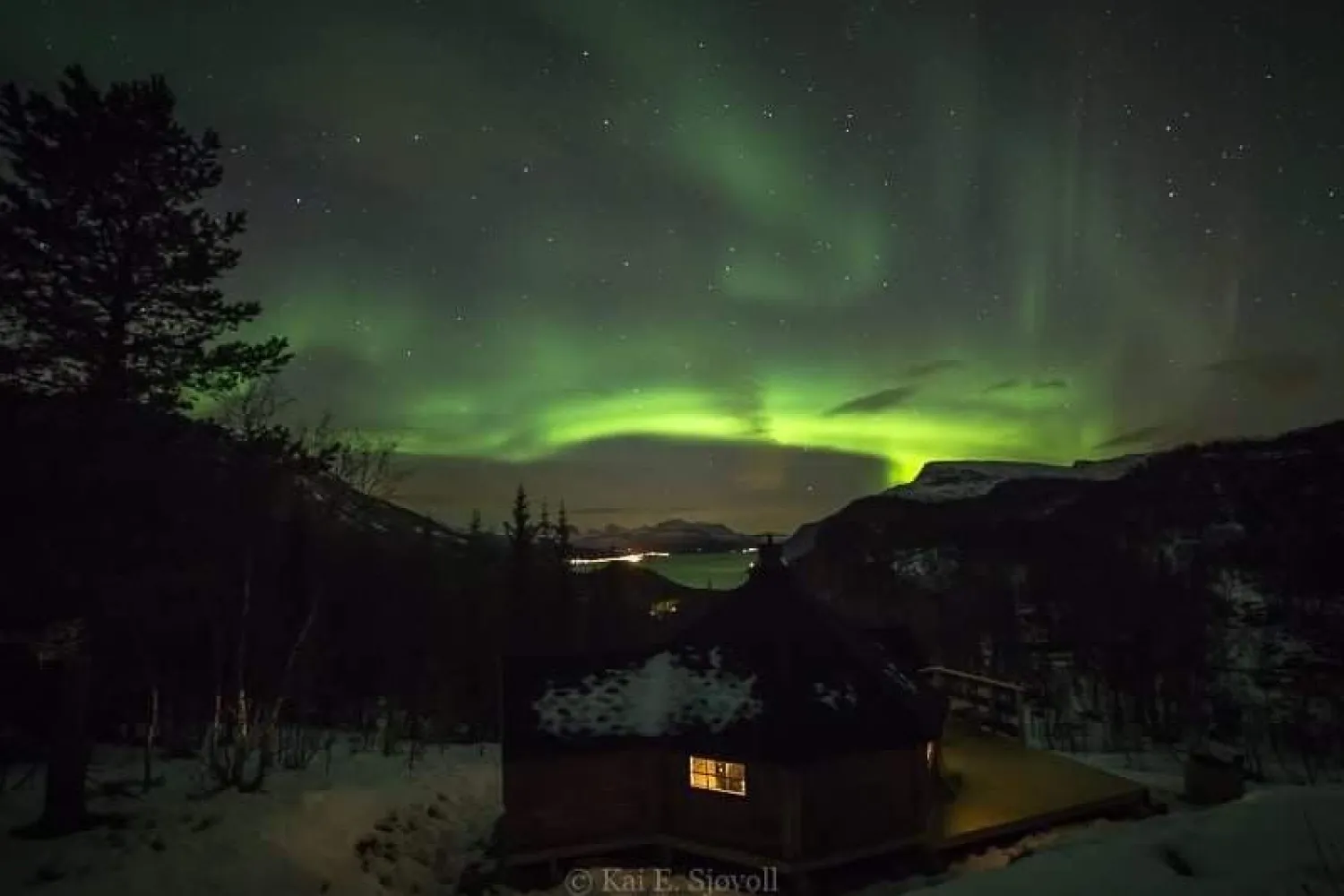 Arktisk skogseventyr på Elvegård