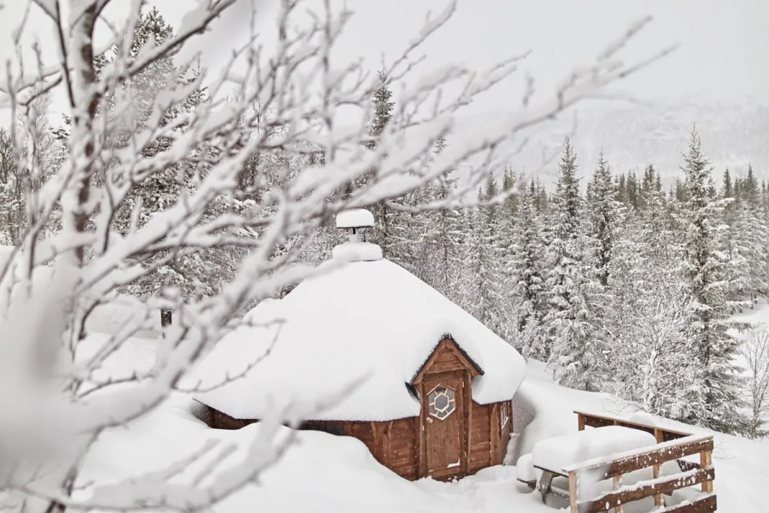 Arktisk skogseventyr på Elvegård