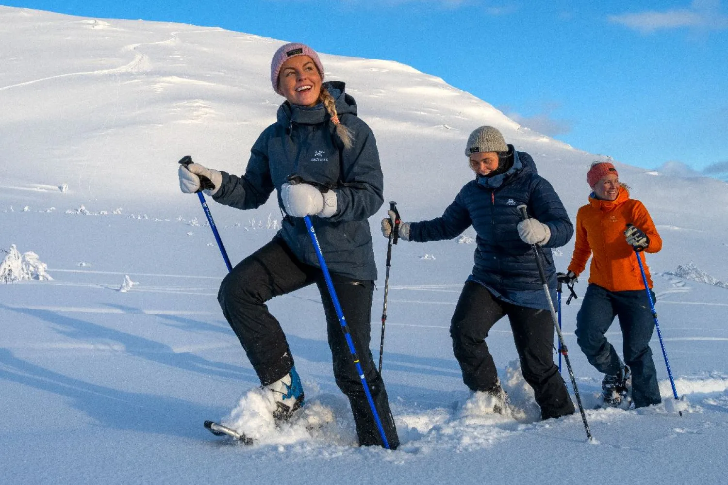 Trugetur i vinterlandskap