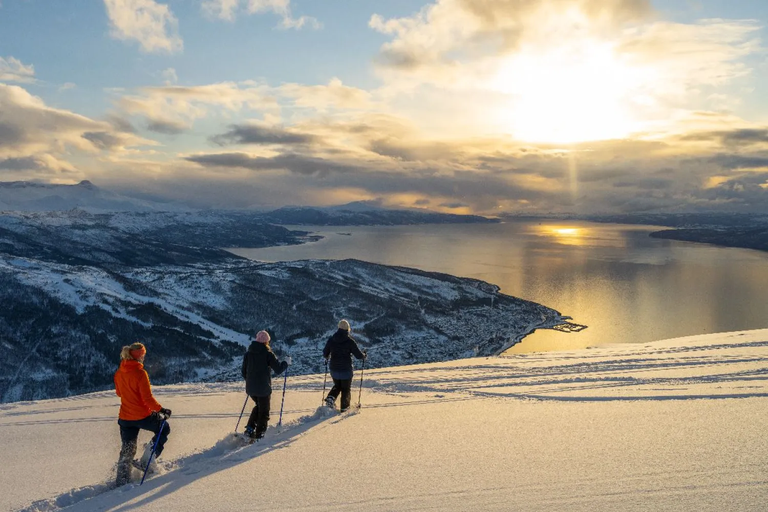 Trugetur i vinterlandskap