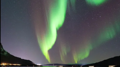 Nordlystur med profesjonell guide