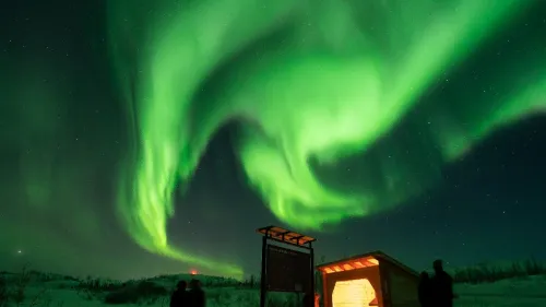 Nordlystur med profesjonell guide