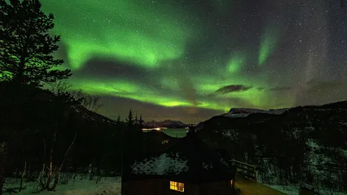 Arktisk skogseventyr på Elvegård