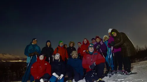 Trugetur under det Arktiske Lyset