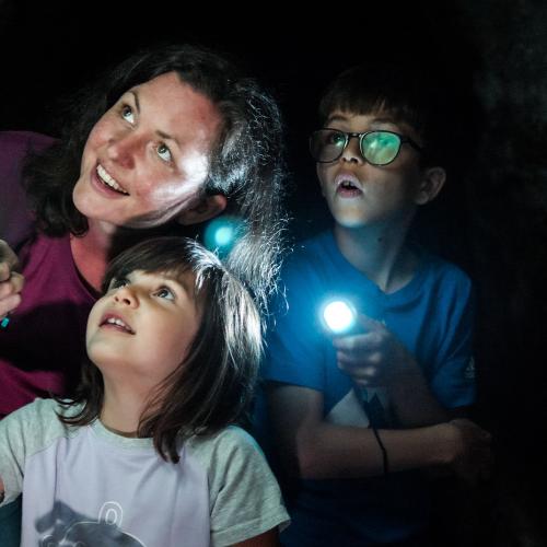 Family walk in underground bunkers 