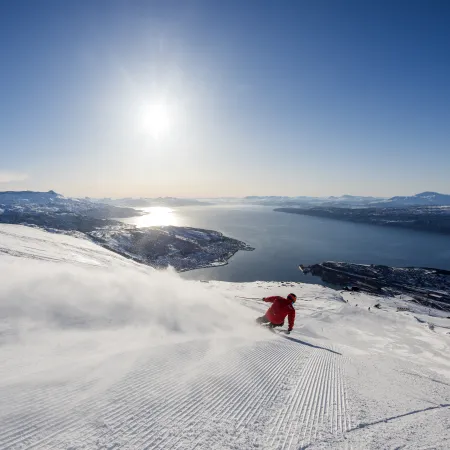 Narvikfjellet