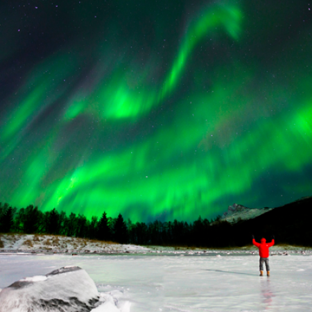 Northern Lights Narvik Photo: Michael Ulriksen