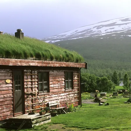Cabin