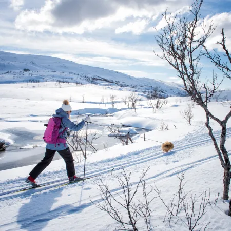 Cross country skiing