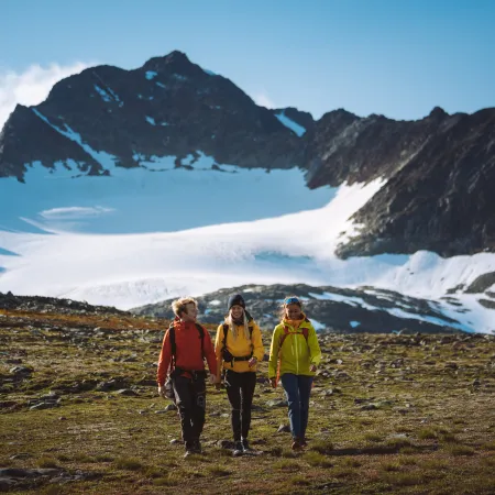 Lyngen