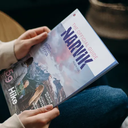 The Official Narvik Guide