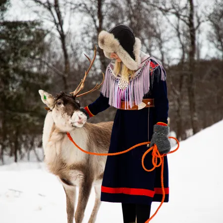 Reindeer & Traditions