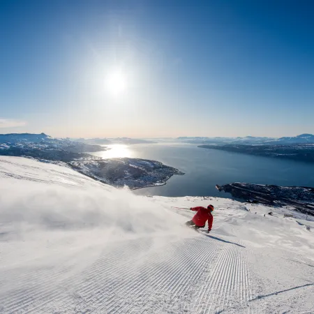 Narvikfjellet
