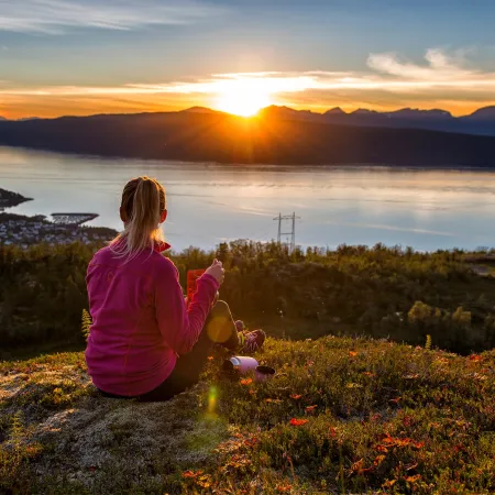 Taraldsviktoppen