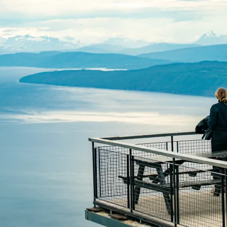 Viewpoints