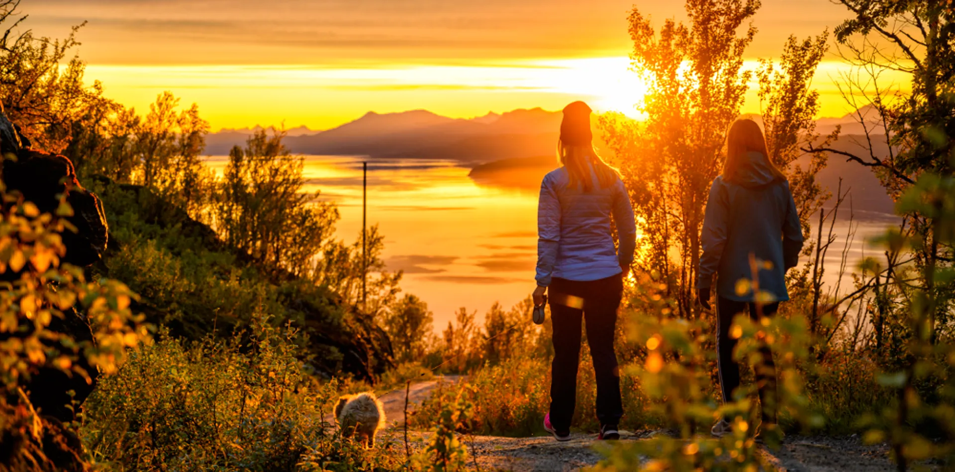 Høst Narvik