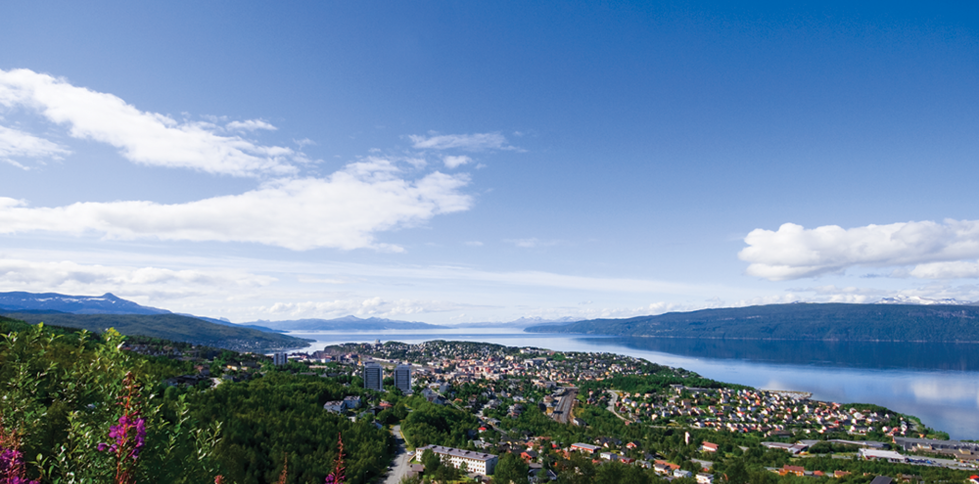Narvik City View Summer