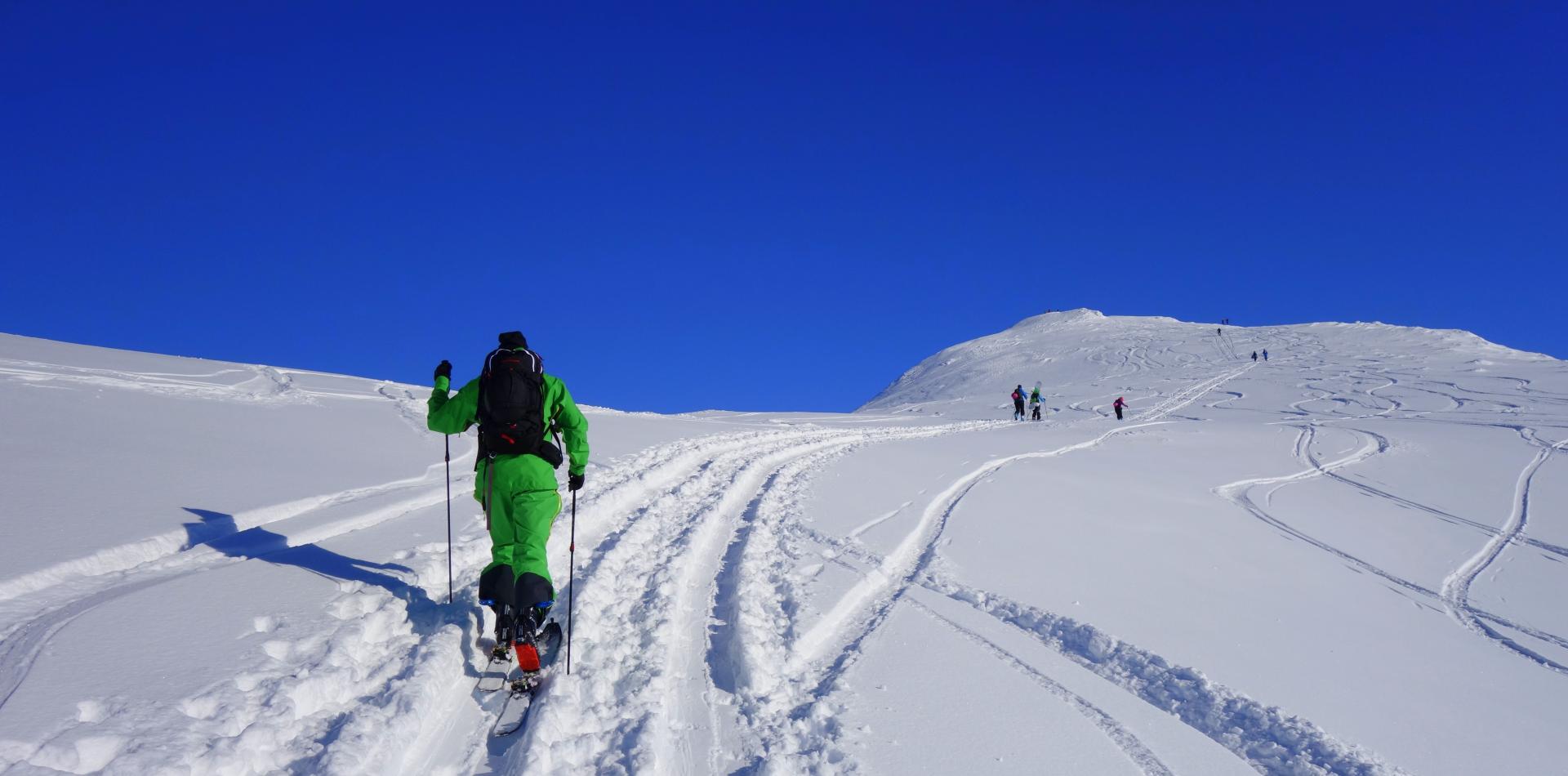 Ski touring in Narvikfjellet